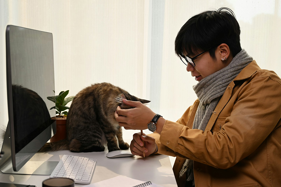 Man playing with cat at desk.