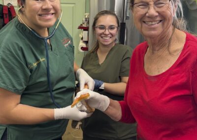people holding a python