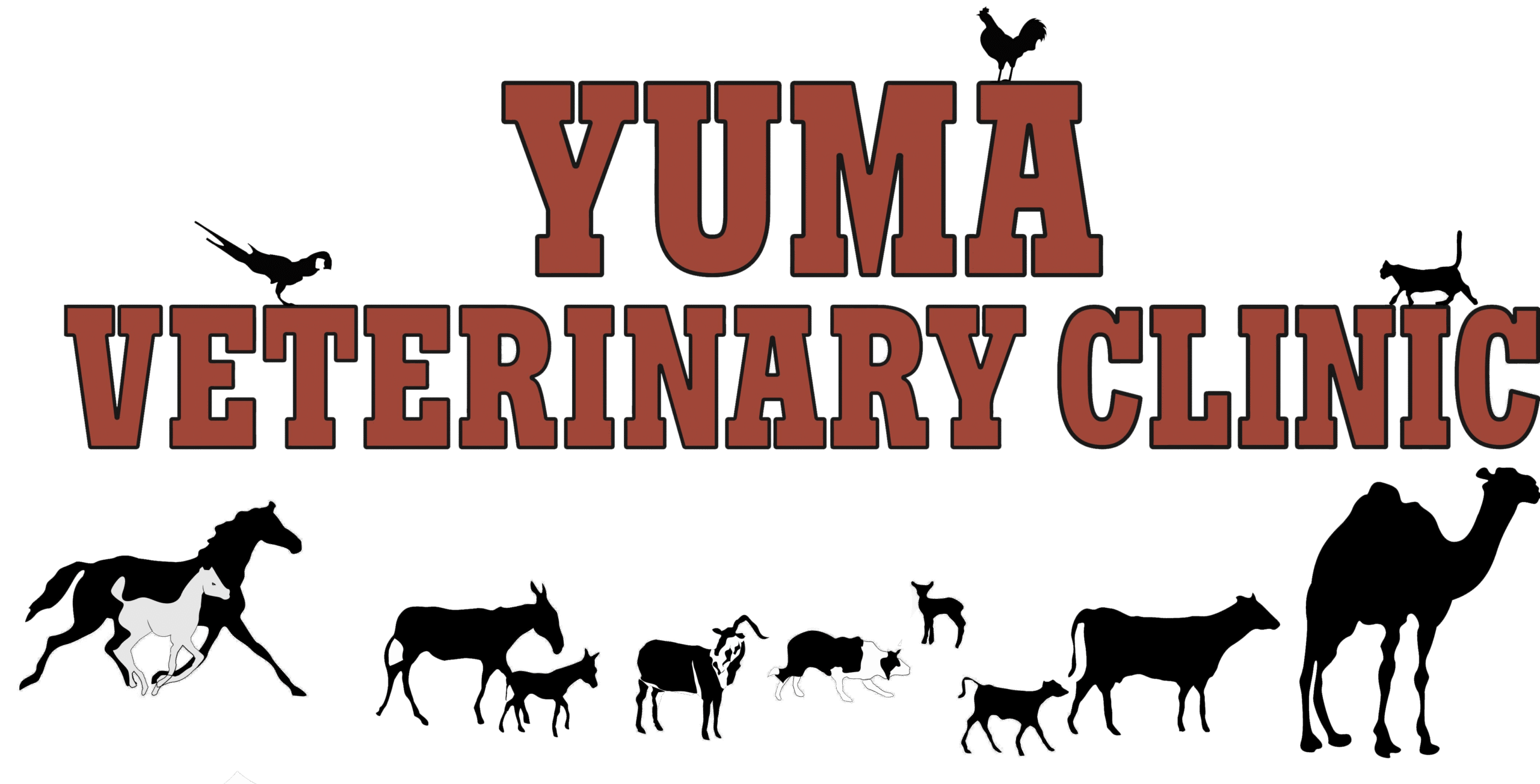 Logo-updated Logo updated